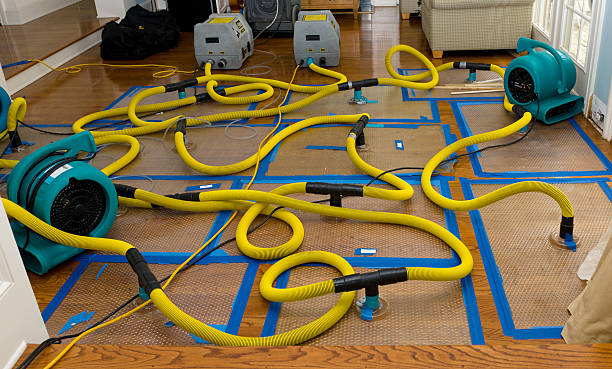 Professional Water Damage Restoration technician working in Easton, MD